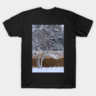 Solitude ~ Pinos Altos, NM T-Shirt